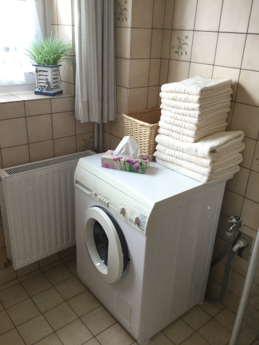 Bad_Waschmaschine_w500.jpg