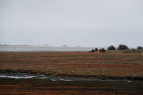 Westerhever_2022_1_w500.jpg