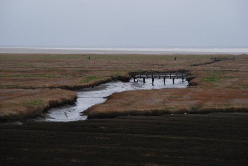 Westerhever_2022_2_w500.jpg
