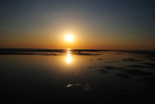 Westerhever_2022_3_w500.jpg